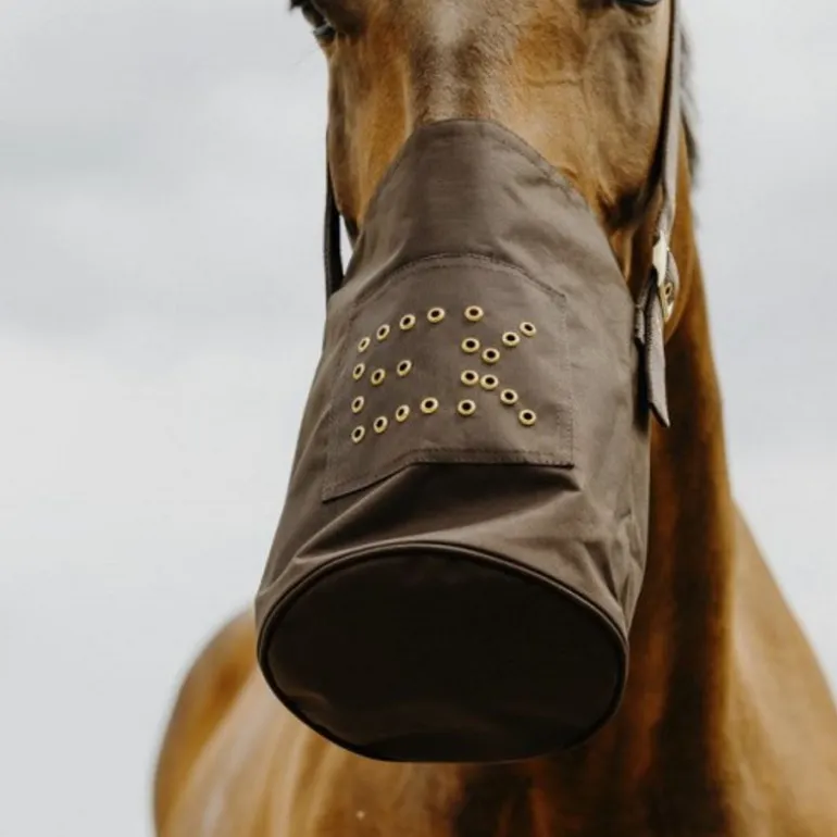 Mangeoire musette en toile cheval