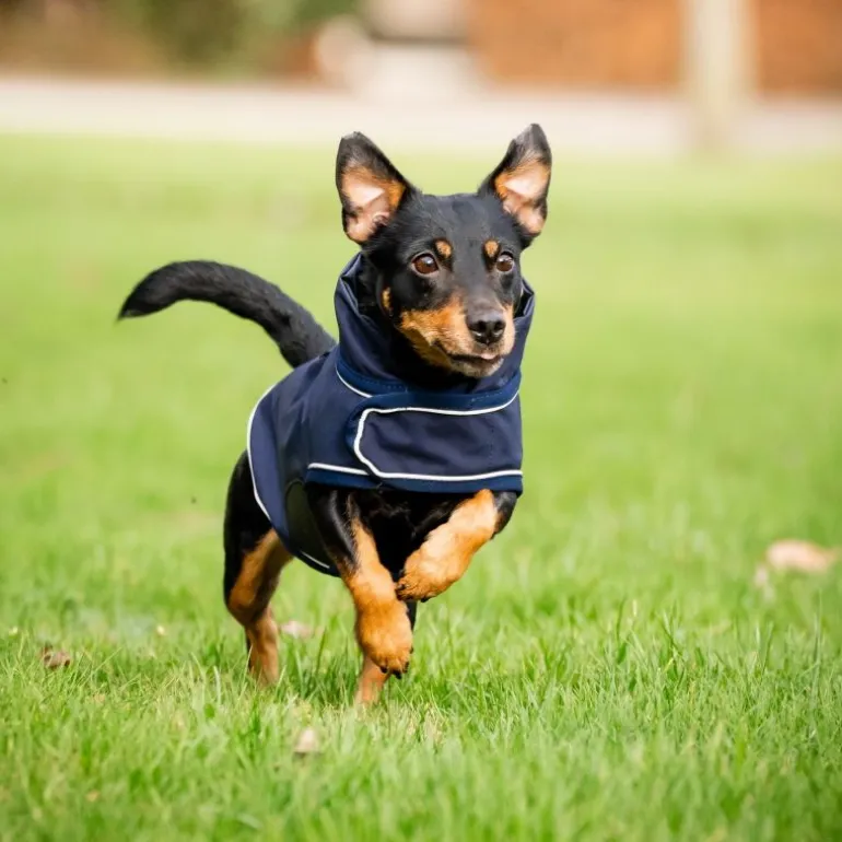 Manteau chien imperméable Rain Coat Signature - Horseware