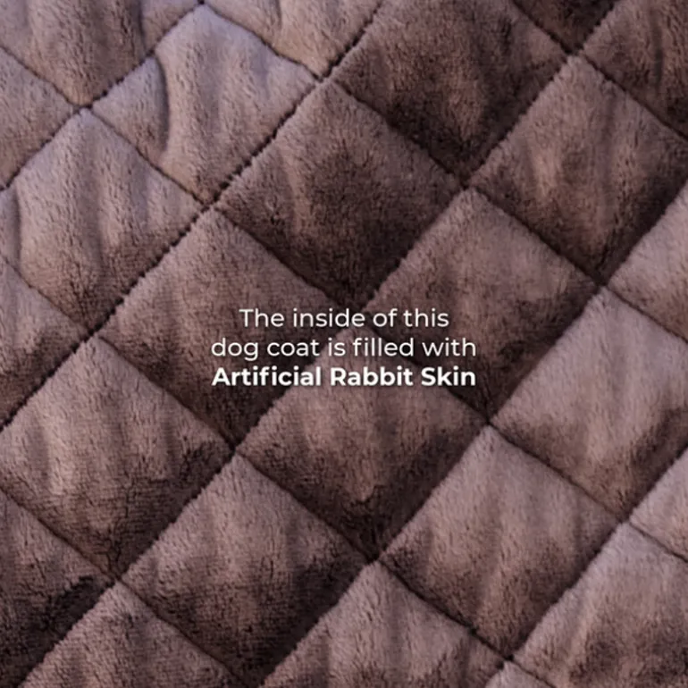 Manteau chien imperméable 160gr - Kentucky Dogwear