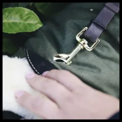 Manteau chien imperméable réfléchissant - Kentucky Dogwear