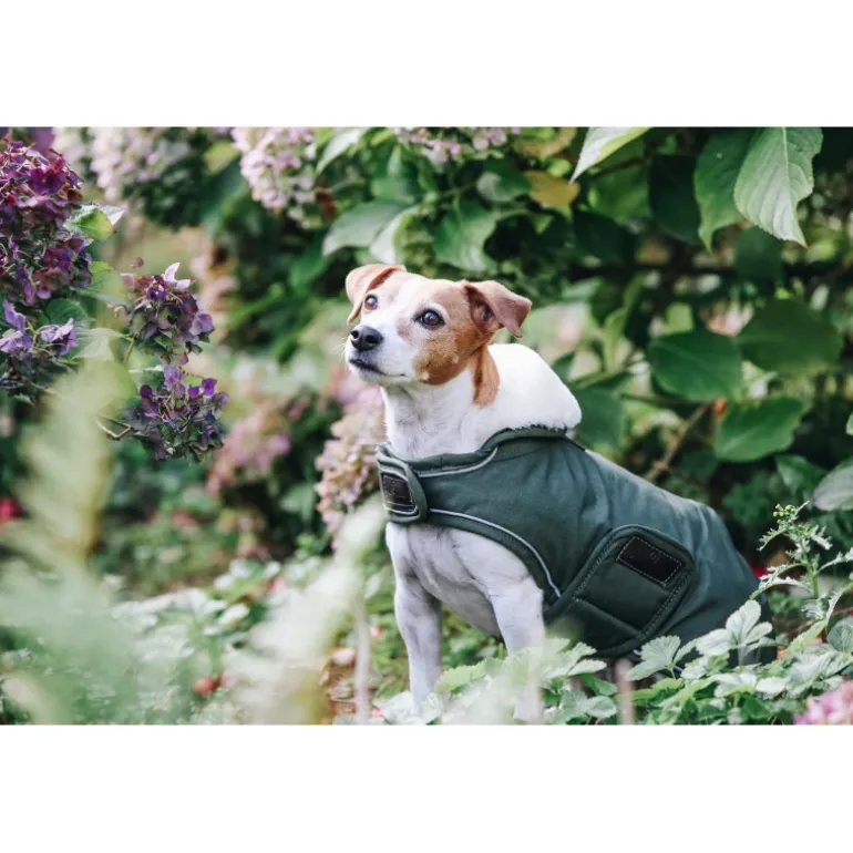 Manteau chien imperméable réfléchissant - Kentucky Dogwear