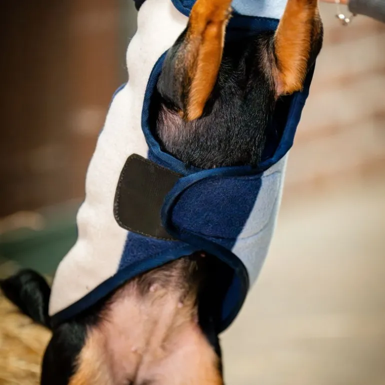 Manteau chien polaire Fleece Signature - Horseware