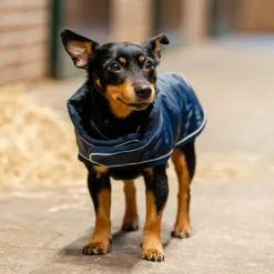 Manteau chien Signature 200g - Horseware