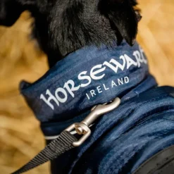 Manteau chien Signature 200g - Horseware