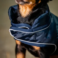 Manteau chien Signature 200g - Horseware