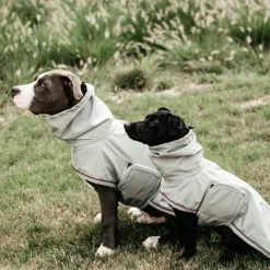 Manteau de pluie pour chien - Kentucky Dogwear