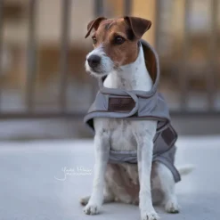 Manteau pour chien imperméable et réfléchissant - Kentucky Dogwear
