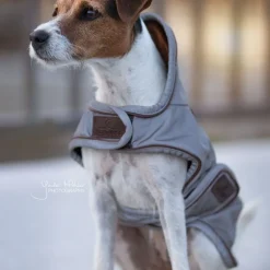 Manteau pour chien imperméable et réfléchissant - Kentucky Dogwear