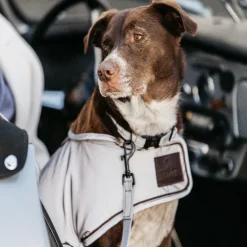 Manteau pour chien imperméable et réfléchissant - Kentucky Dogwear