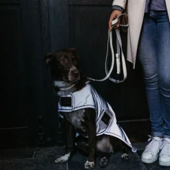 Manteau pour chien imperméable et réfléchissant - Kentucky Dogwear