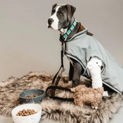 Manteau pour chien imperméable et réfléchissant - Kentucky Dogwear