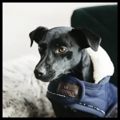 Manteau pour chien matelassé Pearls - Kentucky Dogwear