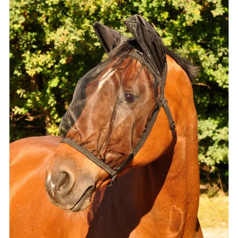 Masque anti-mouche cheval avec oreilles Basic - Waldhausen