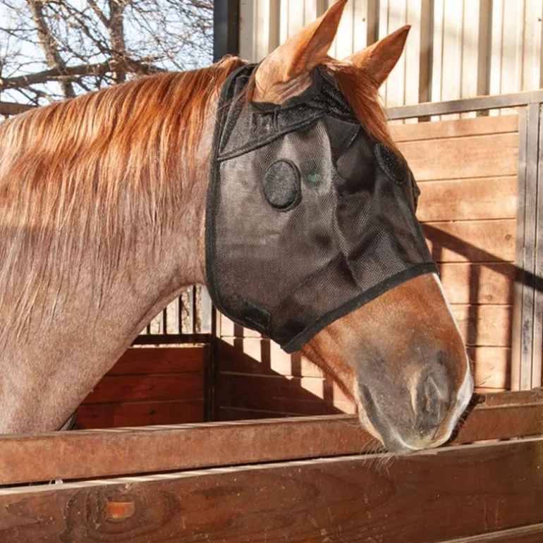 Masque anti-stress cheval MagNTX - Classic Equine