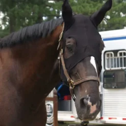 Masque cheval anti-stress avec oreilles - Technologie Titane Liquide - Fenwick