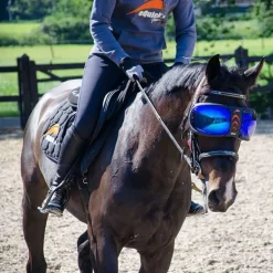 Masque lunettes de protection cheval Evysor - Equick