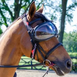 Masque lunettes de protection cheval Evysor - Equick