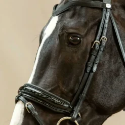Montants de bridon dressage cheval Working Collection - Dy'on