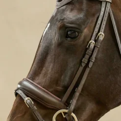 Montants de bridon dressage cheval Working Collection - Dy'on