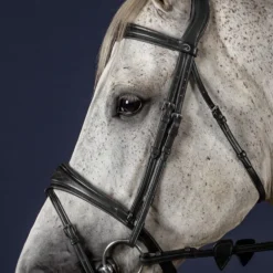 Montants de bridon New English Collection - Dyon