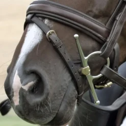 Mors à aiguille double brisure cheval Dynamic Rs en Sensogan - Sprenger