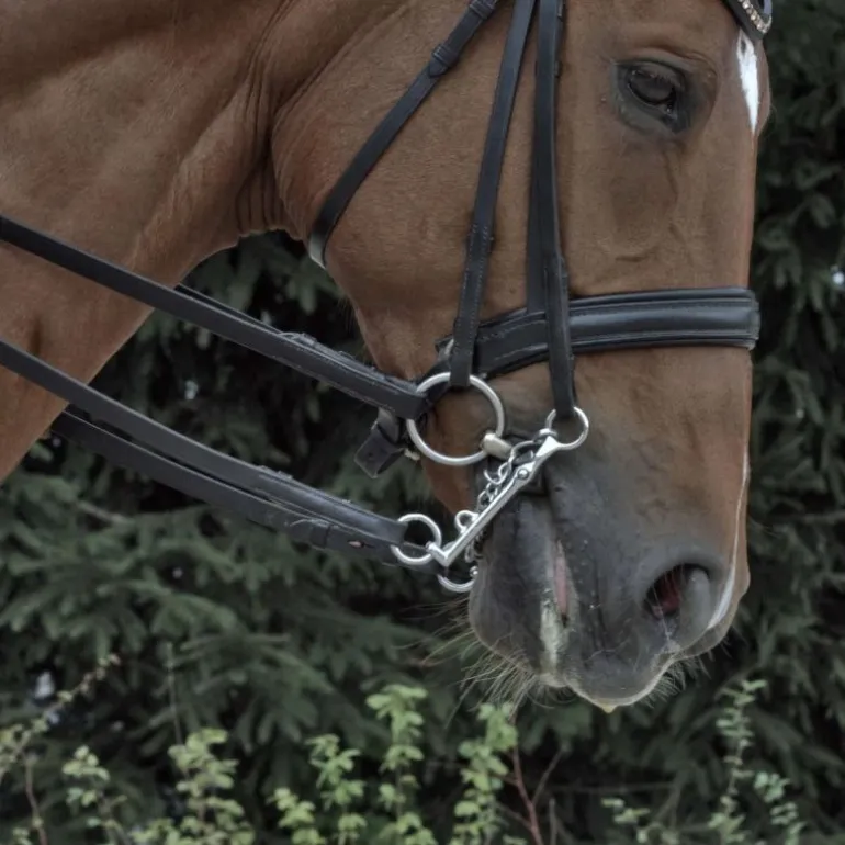 Mors de bride avec passage de langue en Sensogan 16 mm - Sprenger