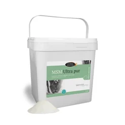MSM ultra pur - Horse Master