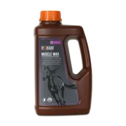 Muscle max - Reprise d'état musculaire cheval - Foran