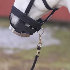 Muselière à disque cheval - Cashel