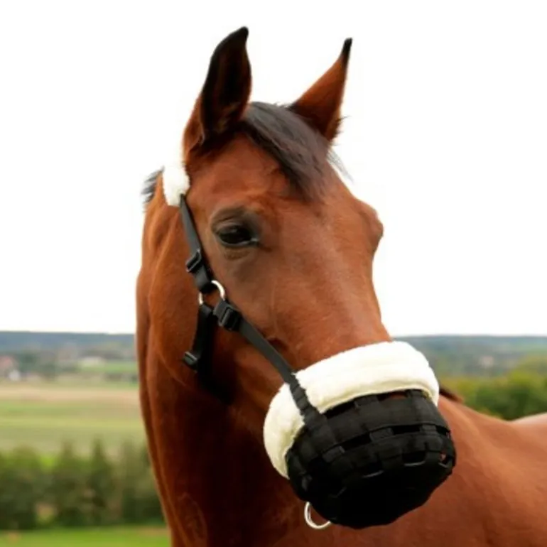 Muselière cheval en mouton synthétique