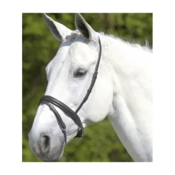 Muserolle combinée - Waldhausen