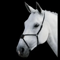 Muserolle croisée cuir - Waldhausen