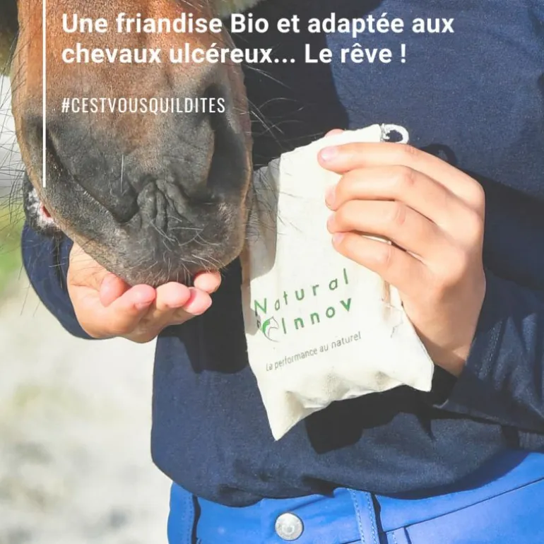 Natural Crackers Friandises chevaux naturelles locomotion Moov - Natural'Innov