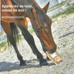 Natural Crackers Friandises chevaux naturelles locomotion Moov - Natural'Innov