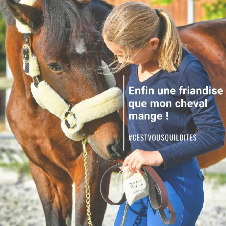 Natural Crackers Friandises chevaux naturelles locomotion Moov - Natural'Innov