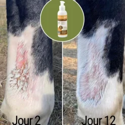 Natural'Balm réparation cutanée cheval - Natural'Innov