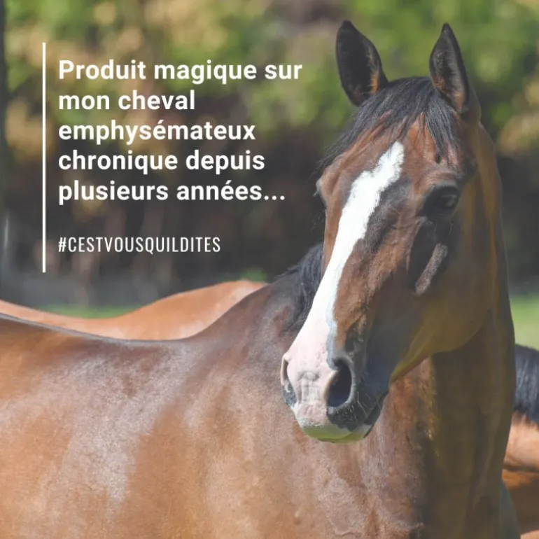 Natural'Breath respiration cheval - Natural'Innov