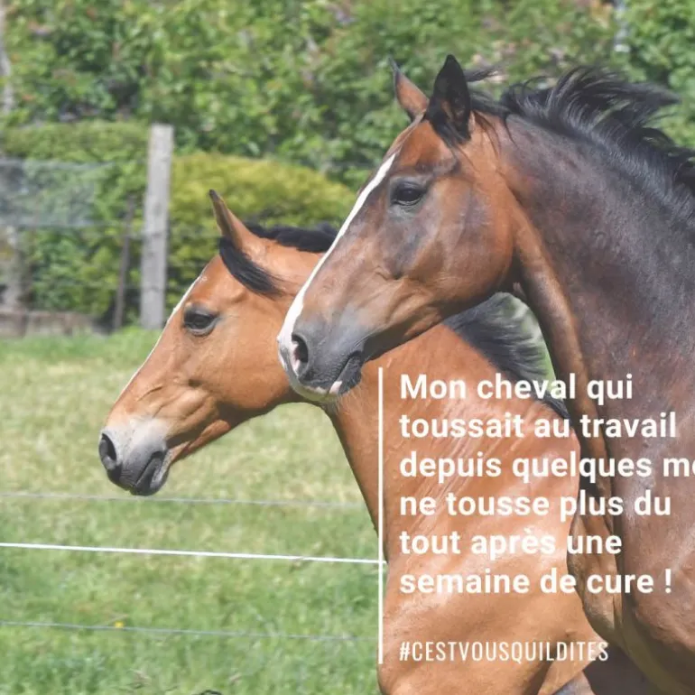 Natural'Breath respiration cheval - Natural'Innov