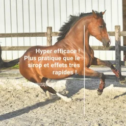 Natural'Breath respiration cheval - Natural'Innov