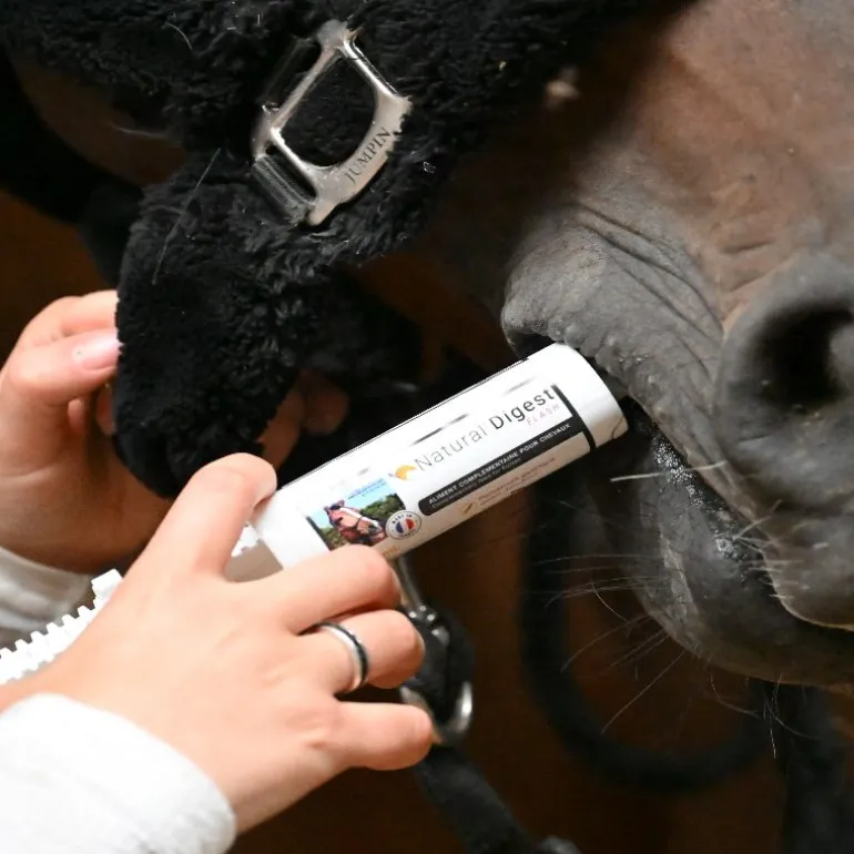 Natural'Digest flore digestive équilibrée cheval - Natural'Innov