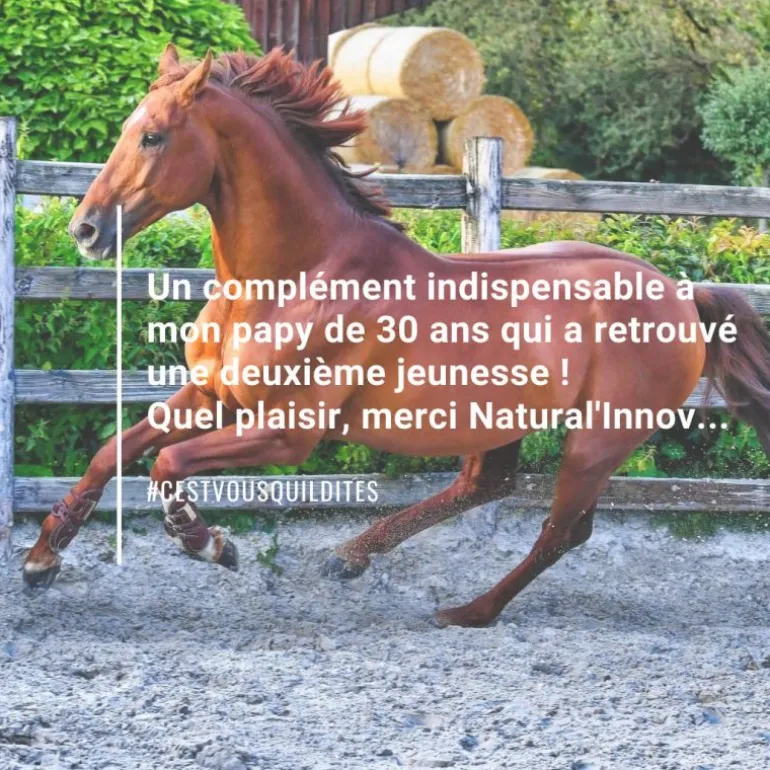 Natural'Immune immunité renforcée cheval - Natural'Innov