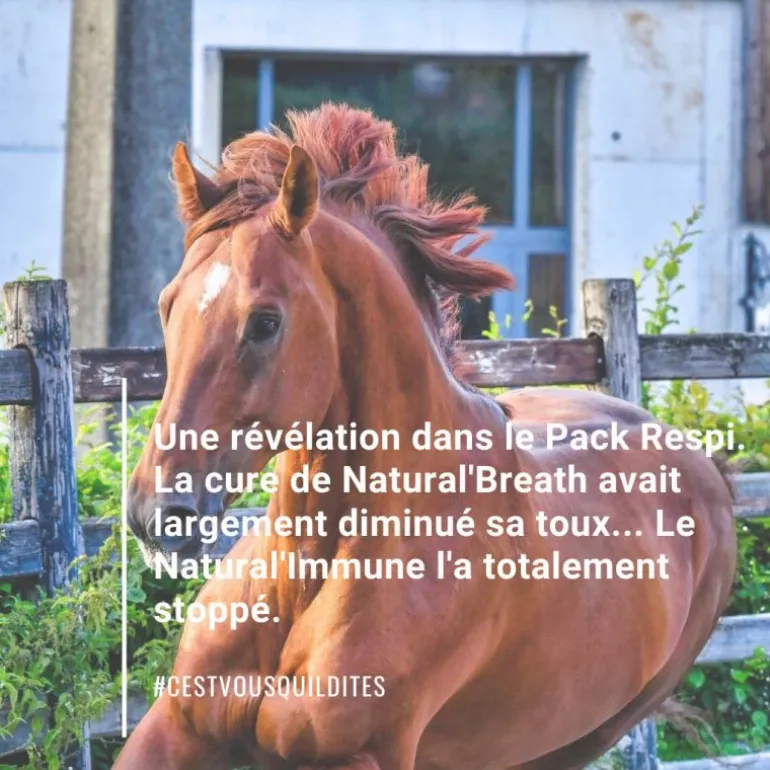 Natural'Immune immunité renforcée cheval - Natural'Innov