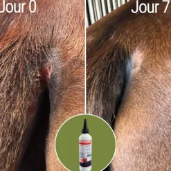 Natural'Itch démangeaisons cheval dermite - Natural'Innov