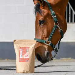 Natural'Mash cheval - Natural Innov