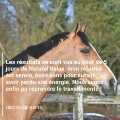 Natural'Relax stress cheval - Natural'Innov