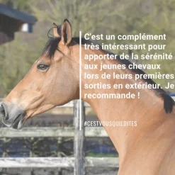 Natural'Relax stress cheval - Natural'Innov