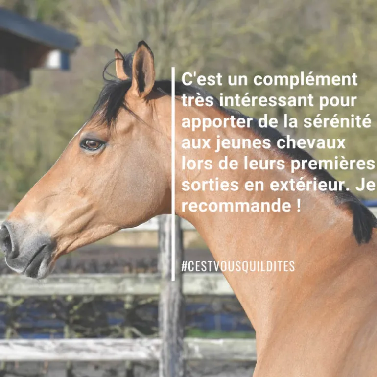 Natural'Relax stress cheval - Natural'Innov