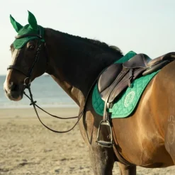 Pack Tapis de selle cheval Sunny + Bonnet anti-mouche Funny - Harcour