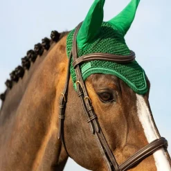 Pack Tapis de selle cheval Sunny + Bonnet anti-mouche Funny - Harcour