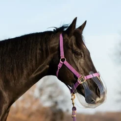 Panier anti-fourbure cheval limitation élevée Filly - Thinline